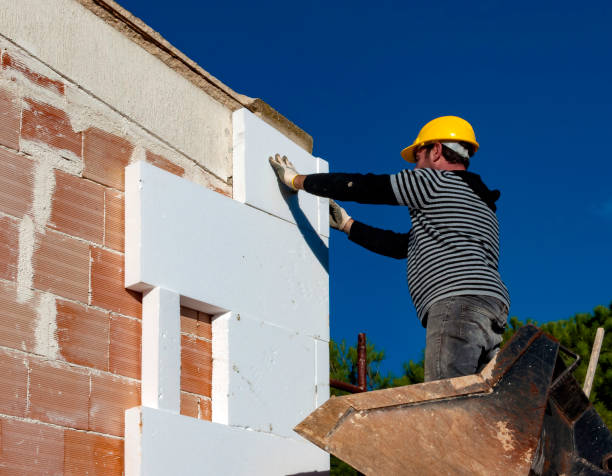 Best Residential Insulation in Savannah, TX